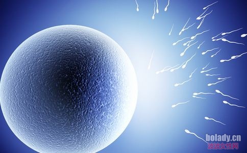 ����˶�������������