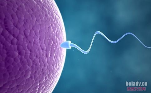 ����˶�������������