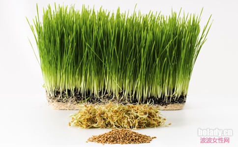 吃什么补肾 补肾食物大集合